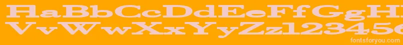 Halcyonia Font – Pink Fonts on Orange Background