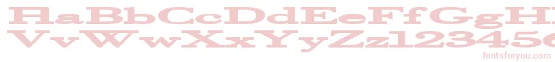 Halcyonia Font – Pink Fonts on White Background