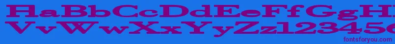 Halcyonia Font – Purple Fonts on Blue Background