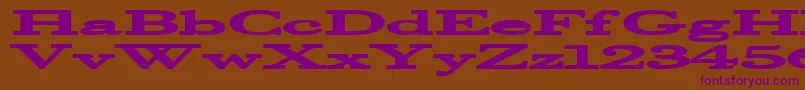 Подробнее о шрифте Halcyonia Шрифт Halcyonia – фиолетовые шрифты на коричневом фоне