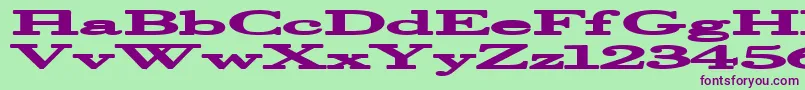 Police Halcyonia – polices violettes sur fond vert