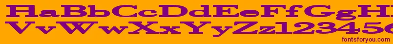 Halcyonia Font – Purple Fonts on Orange Background