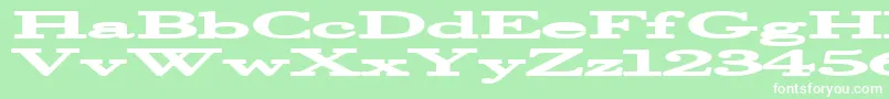 Fonte Halcyonia – fontes brancas em um fundo verde