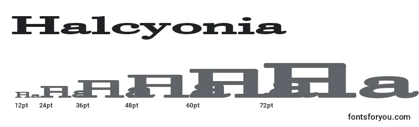 Размеры шрифта Halcyonia