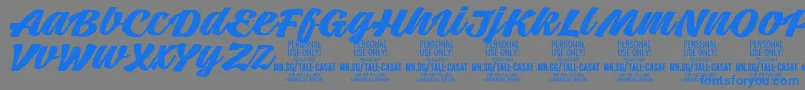 TallcasatboldPersonalUse Font – Blue Fonts on Gray Background