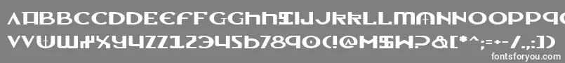 Шрифт LionheartExpanded – белые шрифты на сером фоне