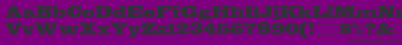 BodegaDisplaySsi Font – Black Fonts on Purple Background