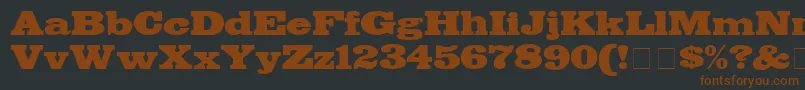 BodegaDisplaySsi Font – Brown Fonts on Black Background