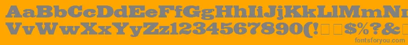 フォントBodegaDisplaySsi – オレンジの背景に灰色の文字