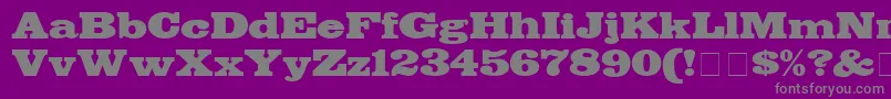 フォントBodegaDisplaySsi – 紫の背景に灰色の文字