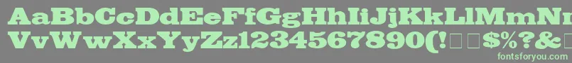 BodegaDisplaySsi-Schriftart – Grüne Schriften auf grauem Hintergrund