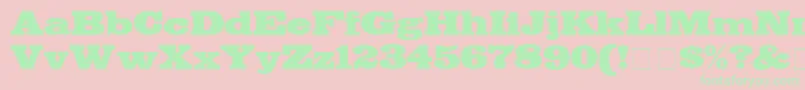 フォントBodegaDisplaySsi – ピンクの背景に緑の文字