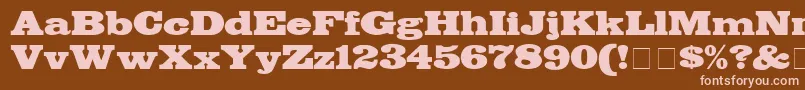 BodegaDisplaySsi Font – Pink Fonts on Brown Background