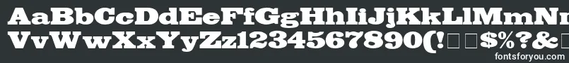 フォントBodegaDisplaySsi – 黒い背景に白い文字