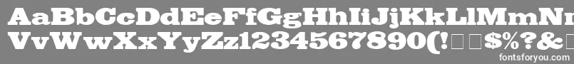 BodegaDisplaySsi Font – White Fonts on Gray Background