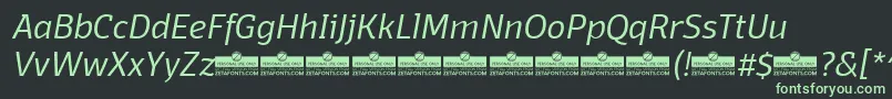 DomotikaLightItalicTrial Font – Green Fonts on Black Background