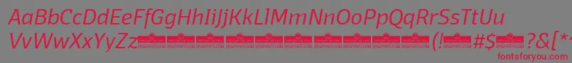 DomotikaLightItalicTrial Font – Red Fonts on Gray Background