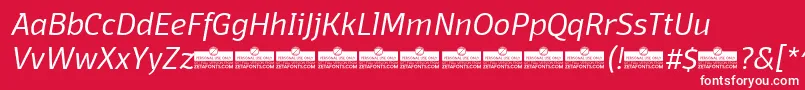 DomotikaLightItalicTrial Font – White Fonts on Red Background