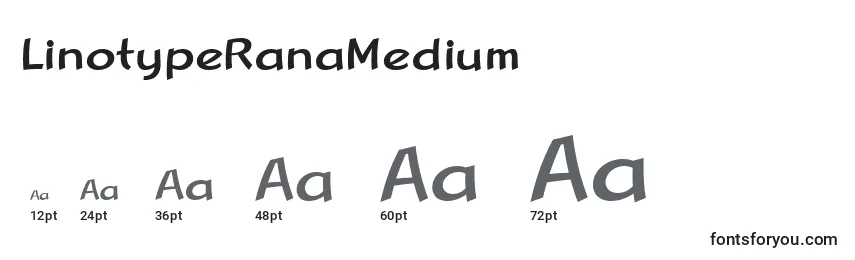 Размеры шрифта LinotypeRanaMedium