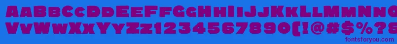 Quadratgroteskblackc Font – Purple Fonts on Blue Background