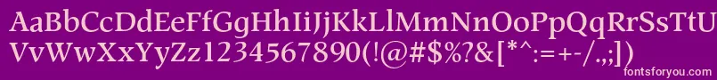 ProspectcBold Font – Pink Fonts on Purple Background