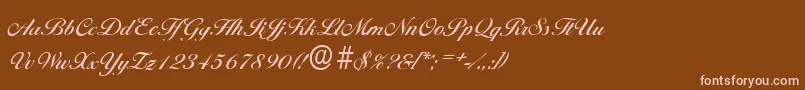 Police BallantinesserialMediumRegular – polices roses sur fond brun