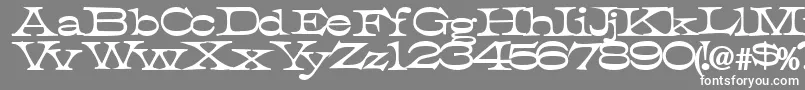 フォントTobiassskBold – 灰色の背景に白い文字