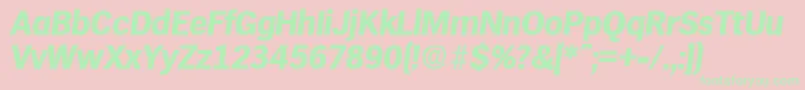 HamburgBoldita Font – Green Fonts on Pink Background