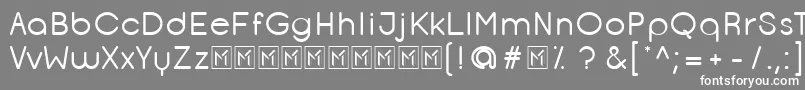 OpificioRounded Font – White Fonts on Gray Background