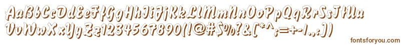 DsBisonShadow Font – Brown Fonts on White Background