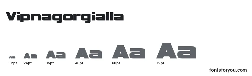 Размеры шрифта Vipnagorgialla