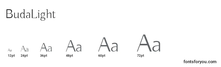 BudaLight Font Sizes