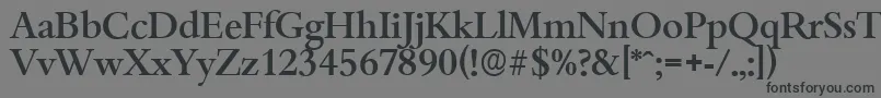 BambergserialMediumRegular-Schriftart – Schwarze Schriften auf grauem Hintergrund