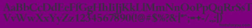 BambergserialMediumRegular-Schriftart – Schwarze Schriften auf violettem Hintergrund