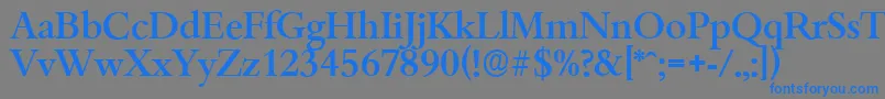 BambergserialMediumRegular-fontti – siniset fontit harmaalla taustalla