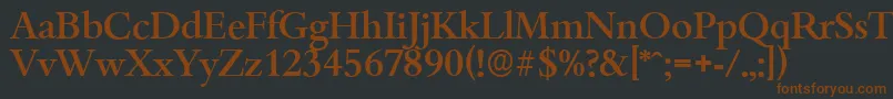 BambergserialMediumRegular Font – Brown Fonts on Black Background