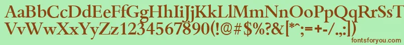 BambergserialMediumRegular Font – Brown Fonts on Green Background