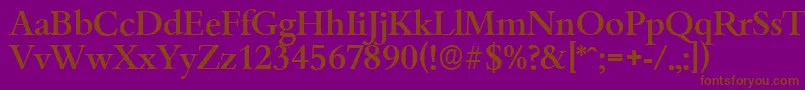 BambergserialMediumRegular Font – Brown Fonts on Purple Background