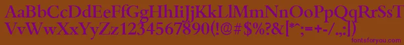 BambergserialMediumRegular Font – Purple Fonts on Brown Background