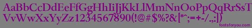 BambergserialMediumRegular-Schriftart – Violette Schriften auf grauem Hintergrund