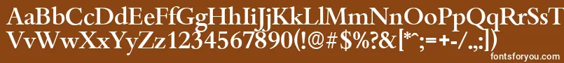 BambergserialMediumRegular-Schriftart – Weiße Schriften auf braunem Hintergrund