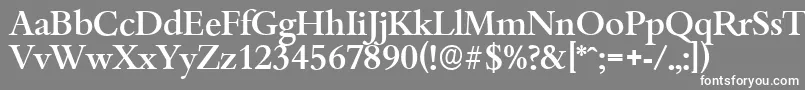 BambergserialMediumRegular-fontti – valkoiset fontit harmaalla taustalla