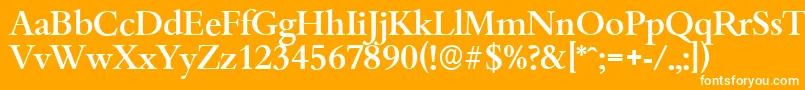 BambergserialMediumRegular Font – White Fonts on Orange Background