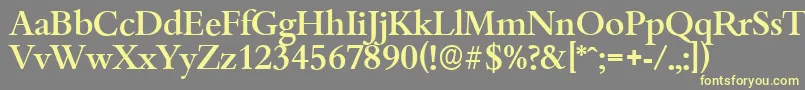 BambergserialMediumRegular-Schriftart – Gelbe Schriften auf grauem Hintergrund