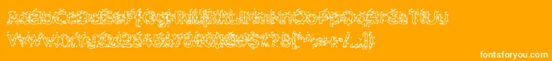 Hammh Font – White Fonts on Orange Background