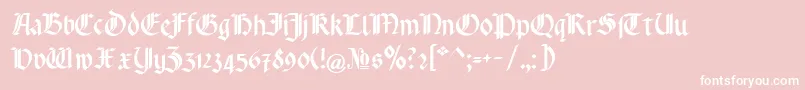 RotundaPommerania Font – White Fonts on Pink Background