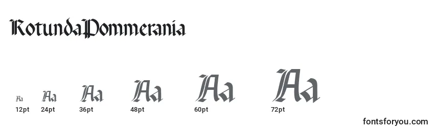 RotundaPommerania Font Sizes