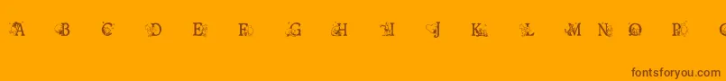 Ohbotherfont Font – Brown Fonts on Orange Background