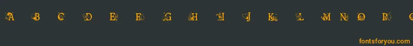 Ohbotherfont-Schriftart – Orangefarbene Schriften auf schwarzem Hintergrund