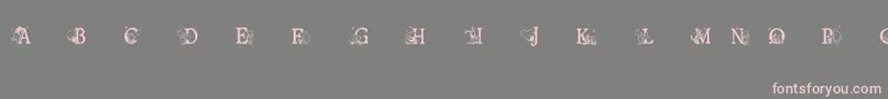 Ohbotherfont Font – Pink Fonts on Gray Background